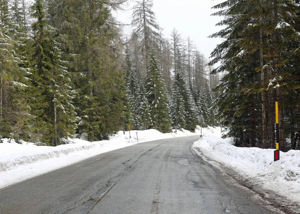 モミの木と白い雪がたくさん山の道 — ストック写真
