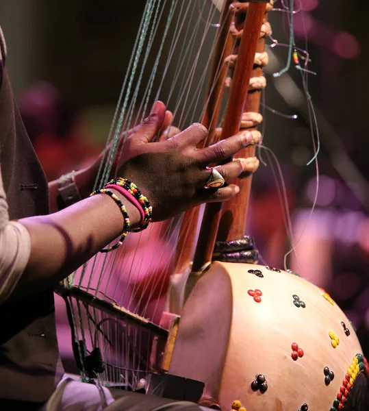 Young African Man Plays Special Homemade Stringed Instrument Live Concert — Stock Photo, Image