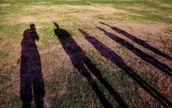 shadows of a family of five persons on the meadow