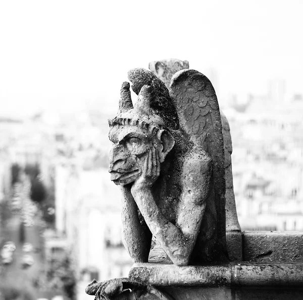 Grotesque Chimaera Animal Figure Basilica Notre Dame Paris High Key — Stock Photo, Image