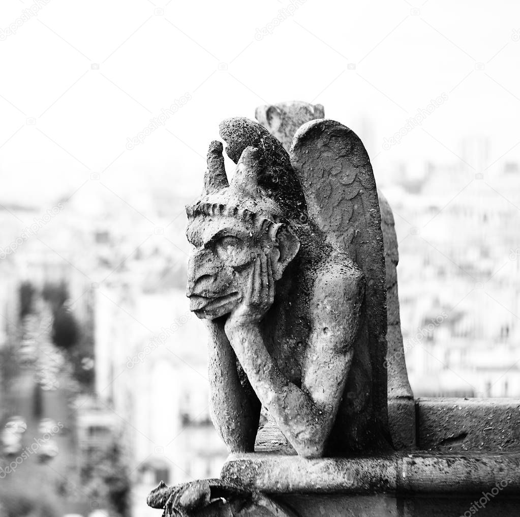grotesque or Chimaera is a animal figure on the Basilica of Notre Dame in Paris with high Key Lights Effect