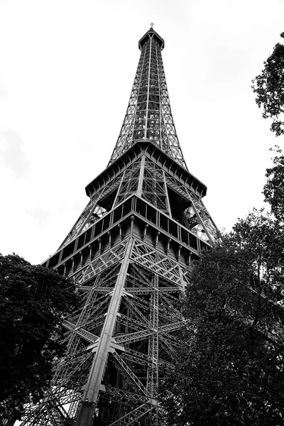 法国巴黎高埃菲尔铁塔底景黑白相间的树木 — 图库照片