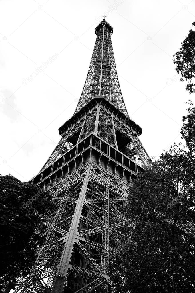 bottom view of high Eiffel tower in Paris France in Black and White with trees