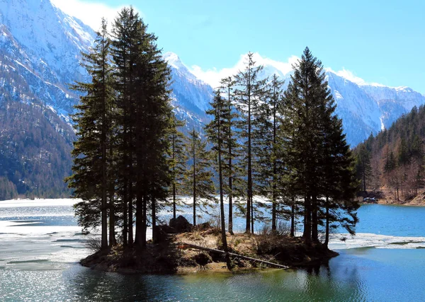 Petite Île Avec Sapins Sur Lac Predil Dans Nord Italie — Photo