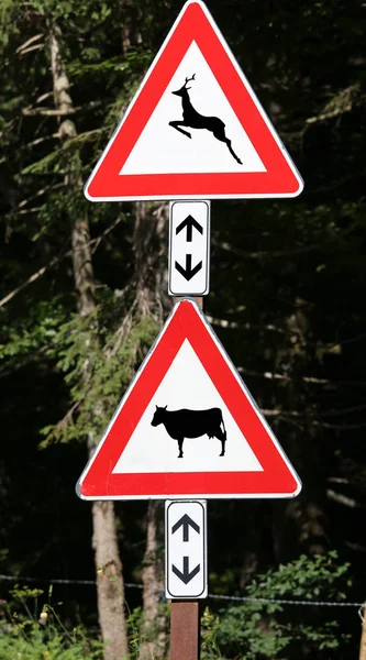 Znaki Drogowe Niebezpieczeństwo Drewna Skrzyżowanie Zwierzęta Krowa Jeleń — Zdjęcie stockowe