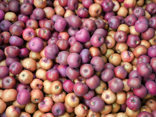 Hintergrund Einer Menge Bio Äpfel Zum Verkauf — Stockfoto