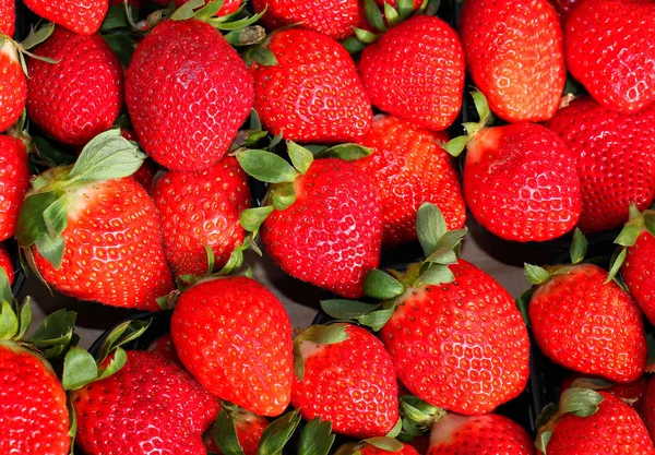 在蔬菜水果店出售红草莓的背景 — 图库照片