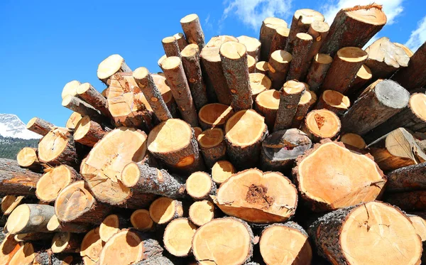 Pile Logs Cut Lumberjacks Mountains Winter — Stock Photo, Image