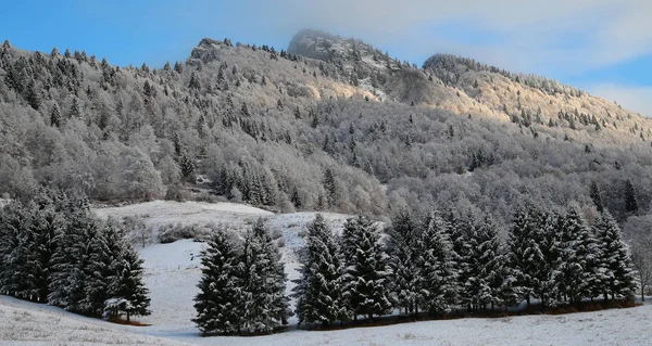 Ορεινό Τοπίο Χειμώνα Χιόνι Στα Δέντρα Και Καλύβες — Φωτογραφία Αρχείου