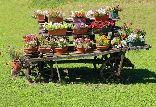 夏天用花盆装饰花园的老木战车 — 图库照片