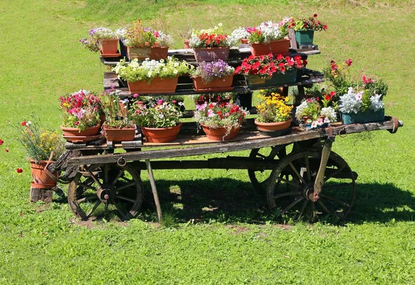 Gammal Trä Vagn Med Blomkrukor Att Dekorera Trädgården Sommar — Stockfoto