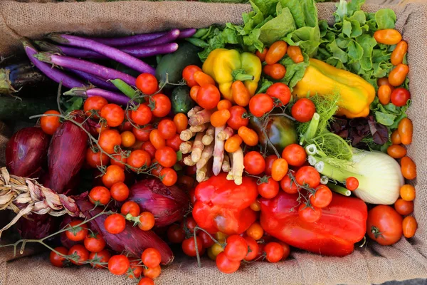 Biologische Groenten Fruit Koop Bij Lokale Markt — Stockfoto