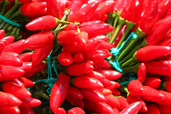 Υπόβαθρο Της Πολλά Κόκκινο Τσίλι Πολύ Ζεστό Προς Πώληση — Φωτογραφία Αρχείου
