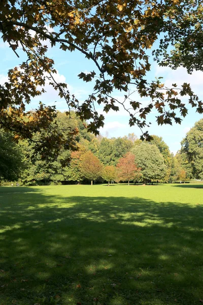 都市公園の木々 に囲まれた広い芝生 — ストック写真