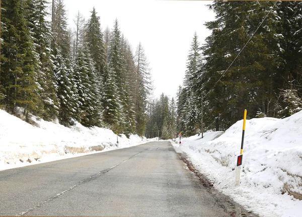 Vereiste Straße Die Durch Einen Wald Mit Vielen Schneebedeckten Bäumen — Stockfoto