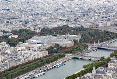Seine Nehri ve Grand Palais ve Petit Paris Eiffel Tower görüldüğü gibi Palais Fransa