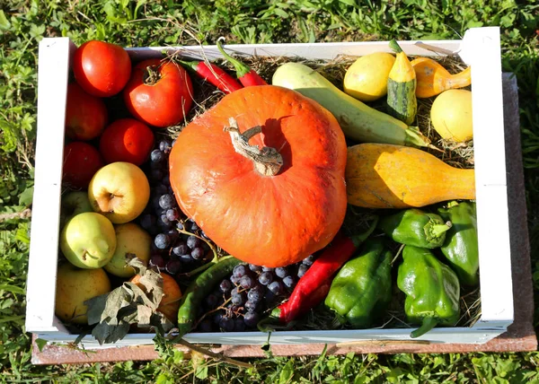 Zucche Cachi Altri Frutti Verdure Autunnali Una Scatola Legno — Foto Stock