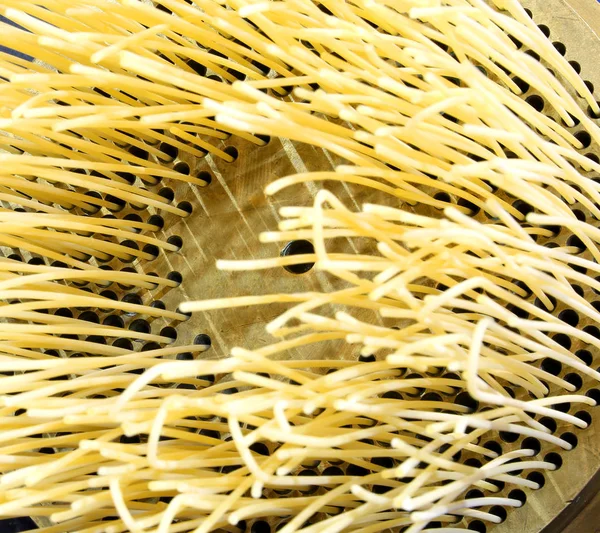 italian spaghetti pasta with the technique called TRAFILURA that means brass wire-drawing the dough in the pasta factory