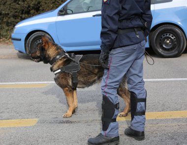 büyük bir olay sırasında İtalyan polisi, polis köpeği