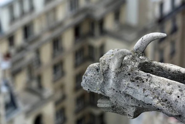 Paris Frankreich Wasserspeier Von Notre Dame — Stockfoto