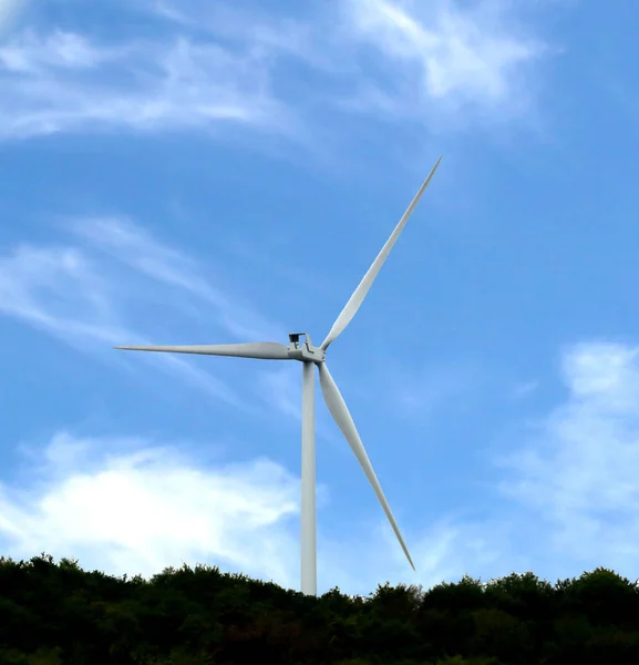 Turbina Wiatrowa Produkcji Energii Źródeł Odnawialnych Bez Zanieczyszczeń — Zdjęcie stockowe