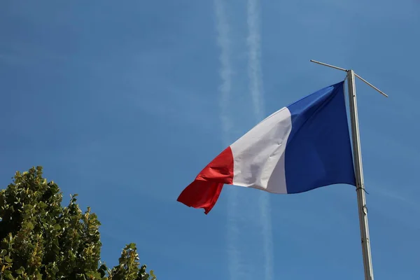 Ondulaciones Bandera Francesa Cielo Azul Árbol — Foto de Stock