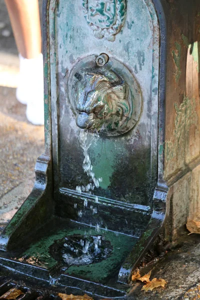 Antiga Fonte Bebida Com Focinho Leão Verde — Fotografia de Stock