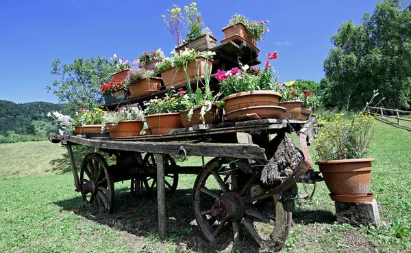 Flowers Meadow Old Wagon — Stock Photo, Image