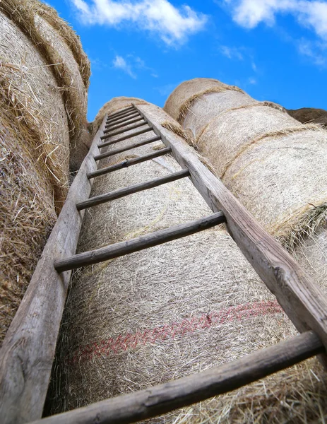 Escalera Madera Granero Con Fardos Heno Cielo —  Fotos de Stock