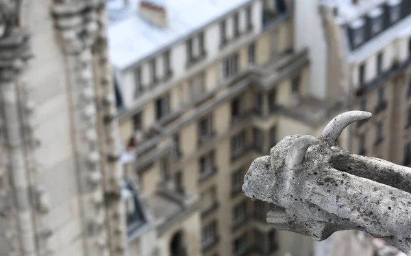 Escultura Una Gárgola Iglesia Gótica Notre Dame París — Foto de Stock