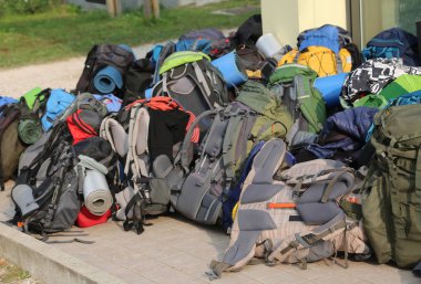 çocuklardan pek çok sırt çantaları yaz kampı sırasında scout