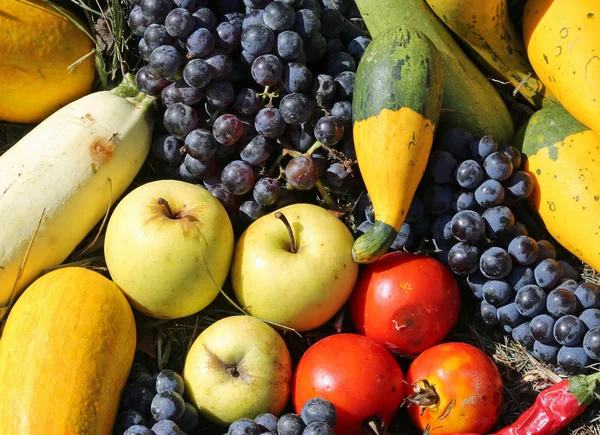 Świeże Warzywa Świeżo Zebranych Owoców Takich Jak Winogrona Jabłka Cukinia — Zdjęcie stockowe