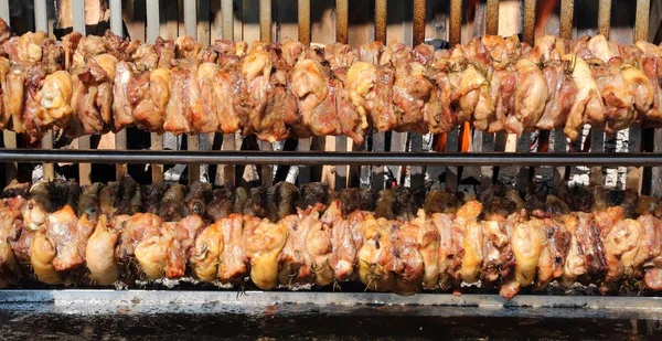 Spiesjes Van Kip Varkensvlees Vlees Terwijl Langzaam Tijdens Het Buiten — Stockfoto