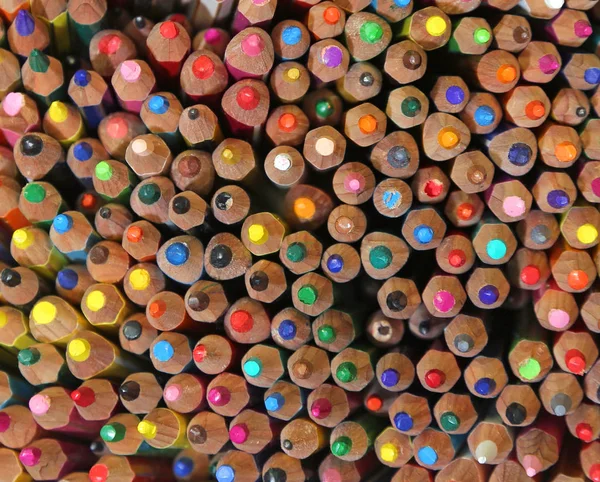 Fondos Muchos Lápices Colores Preescolar — Foto de Stock