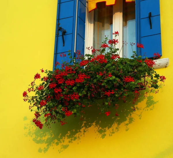 Dům Květinovou Balkón Červenými Muškáty Ostrově Burano Nedaleko Benátek Itálii — Stock fotografie