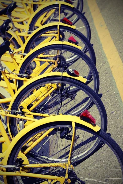 Bicicletas Amarelas Para Sistema Aluguel Bicicletas Cidade Chamado Compartilhamento Bicicletas — Fotografia de Stock