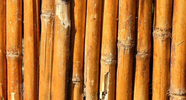 Bakgrund Långa Knotiga Och Orange Bambu Käppar — Stockfoto