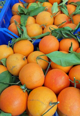 many organic oranges with leaves in the fruit box on sale at the market