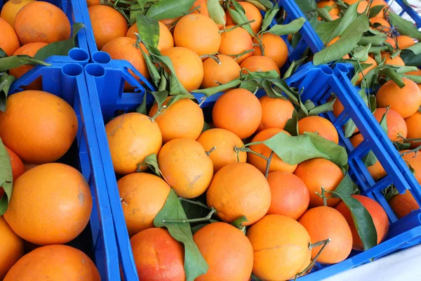 Много Органических Апельсинов Листьями Фруктовой Коробке Продажу Рынке — стоковое фото