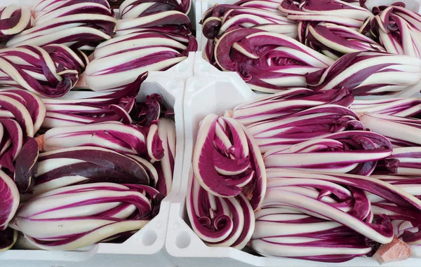 Doboz Vörös Radicchio Más Néven Radicchio Tardivo Olasz Nyelven — Stock Fotó