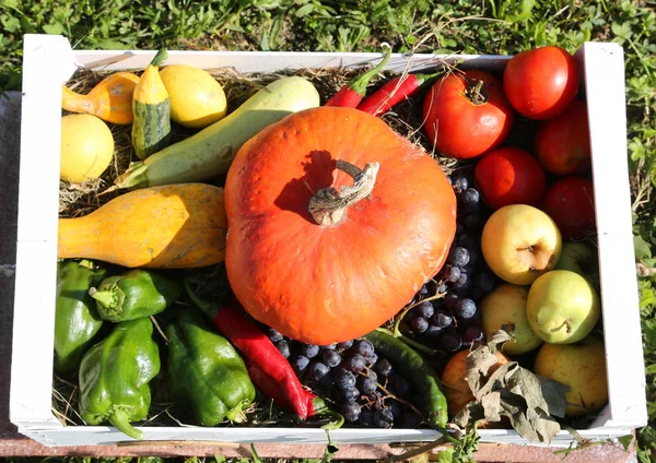 Houten Kist Met Een Grote Oranje Pompoen Andere Herfst Fruit — Stockfoto
