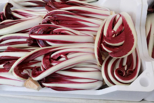 Pek Çok Kırmızı Hindiba Talyanca Dil Manav Dükkanında Satılık Radicchio — Stok fotoğraf