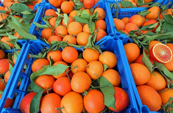 Biologische Sinaasappelen Geoogste Groenten Waar Geen Chemische Meststoffen Worden Gebruikt — Stockfoto