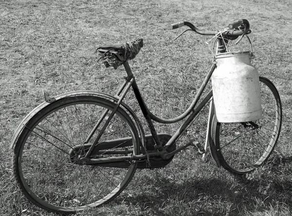 古い自転車で 酪農に飲料を提供する牛乳によって一度に長い時間前を使用ミルク缶アルミ — ストック写真