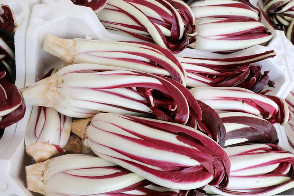 Schachtel Roter Chicorée Italienischer Sprache Auch Radicchio Tardivo Genannt Wird — Stockfoto