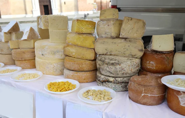 Puesto Con Muchas Formas Queso Añejado Como Caciotta Pecorino Mercado — Foto de Stock