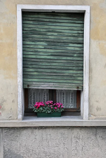 シクラメンズと花の花瓶で装飾されたバルコニー付きの古い家の壊れたブラインドを用いた四角形のウィンドウ — ストック写真