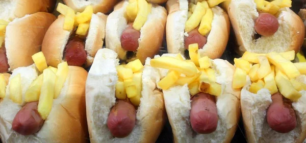 Typowy Amerykański Kanapki Nadziewane Hot Dogi Frytki Restauracji Typu Fast — Zdjęcie stockowe