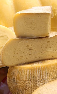 yaşlı peynir süt ürünleri inek sütü veya keçi sütü ile yapılan ahır