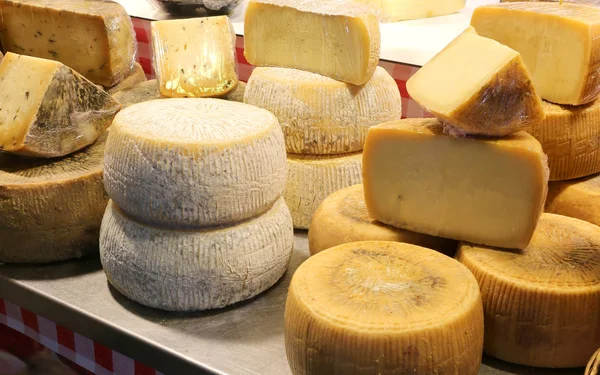 Parmesan Och Caciotta Ost Och Andra Äldre Ostar Till Salu — Stockfoto